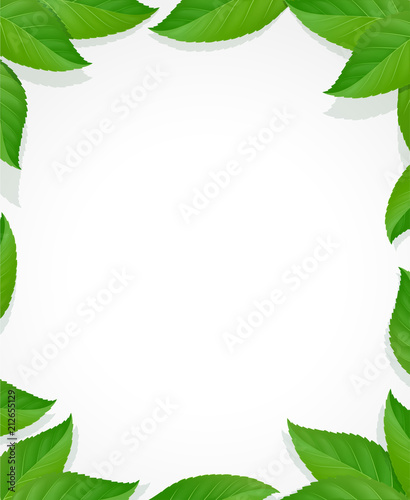Leaves frame. Green decoration with leaf. Natural floral