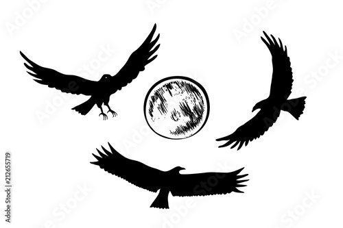 Flying eagle silhouettes, vector illustration