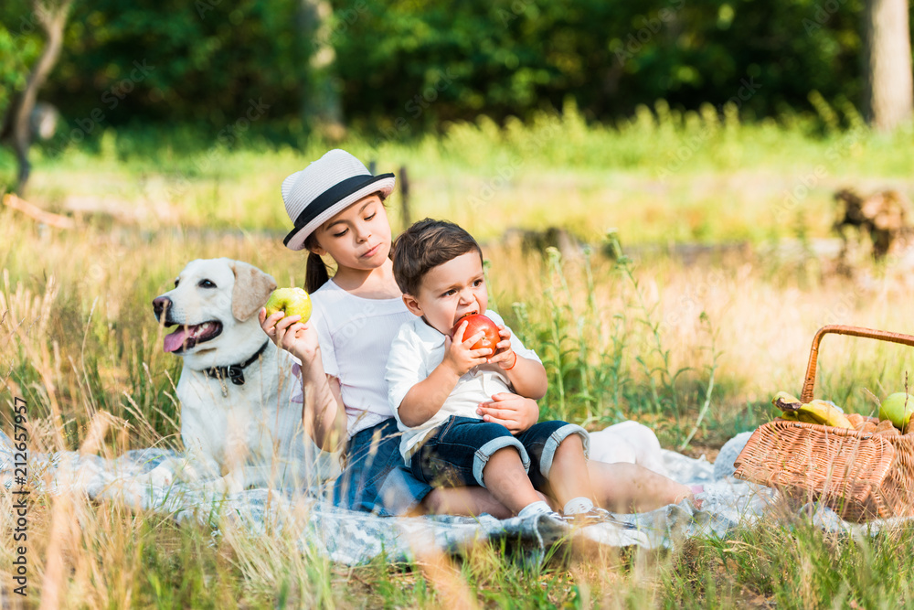 Fototapeta premium happy siblings sitting on blanket at picnic and eating apples
