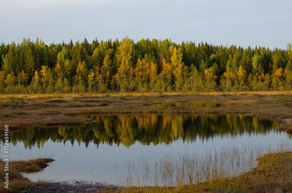 Sunset light - Autumn colours