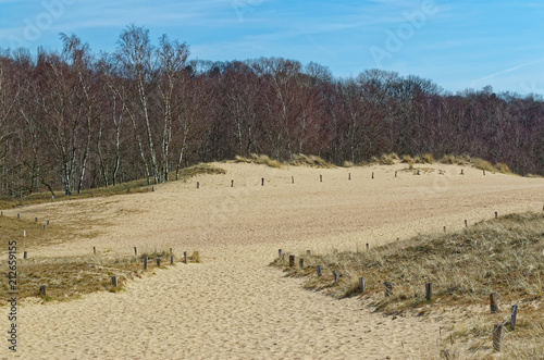 Sandy dunes in nature reserve Boberger Niederung in Hamburg, Germany photo