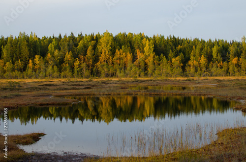 Sunset light - Autumn colours
