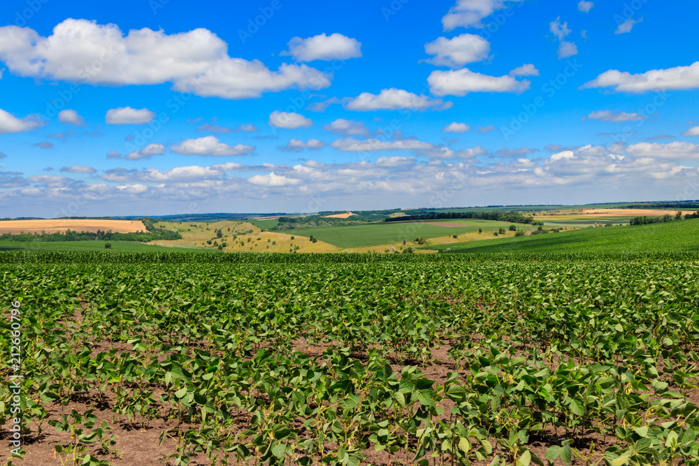 Summer landscape with green fields, hills and blue sky