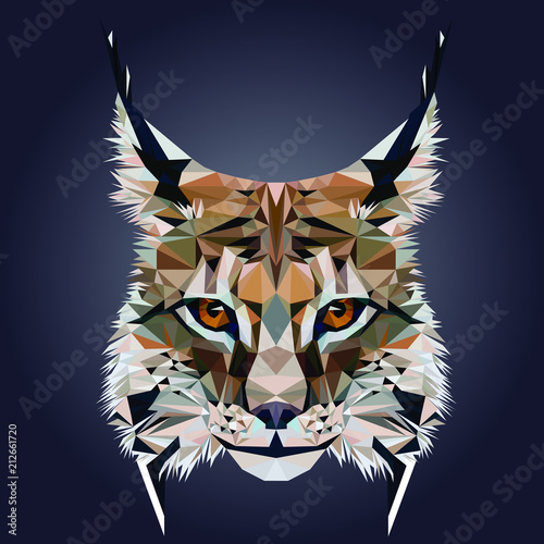 Low poly triangular lynx (bobcat) face on dark background, symmetrical vector illustration EPS 10 isolated.  Polygonal style trendy modern logo design. Suitable for printing on a t-shirt.