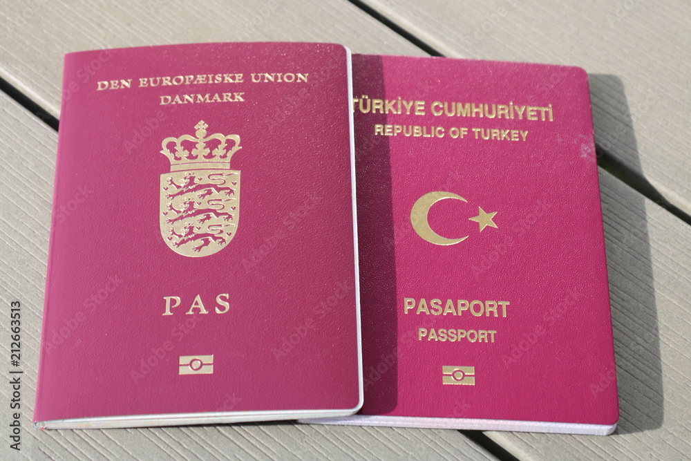 Как получить гражданство дании. Гражданство в дании брак. double citizenship.
