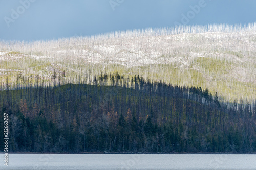 Wintry day at Lake McDonald photo