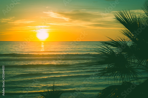 Splendid orange sunset by wavy sea with palm tree silhouette. Old fashioned twilight on the beach. Vintage effect