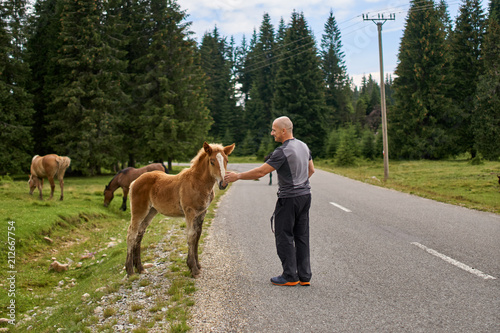 Man caressing a baby horse