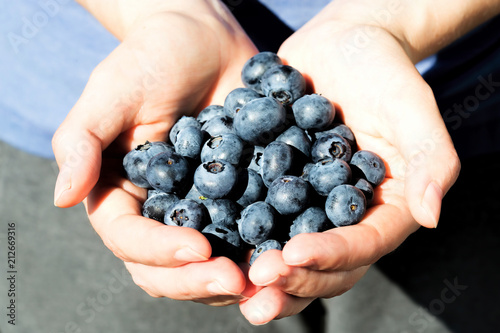 Female hands holding fresh blueberries 