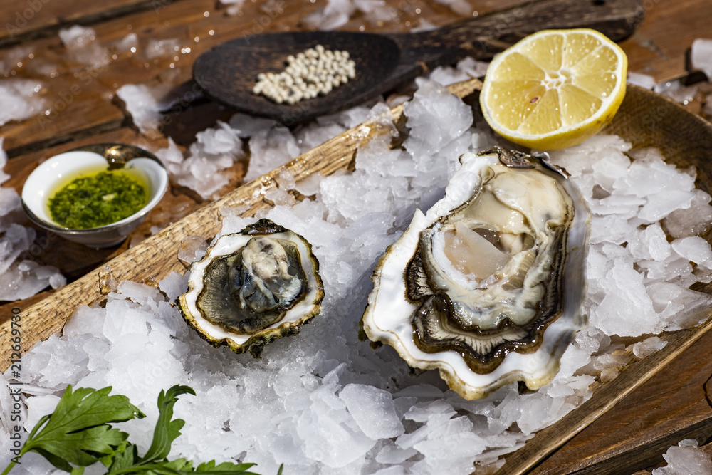 Tasty oysters on ice with lemon
Tasty oysters on ice with lemon