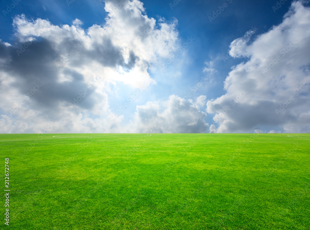 Green football field under blue sky background Green football field under blue sky background