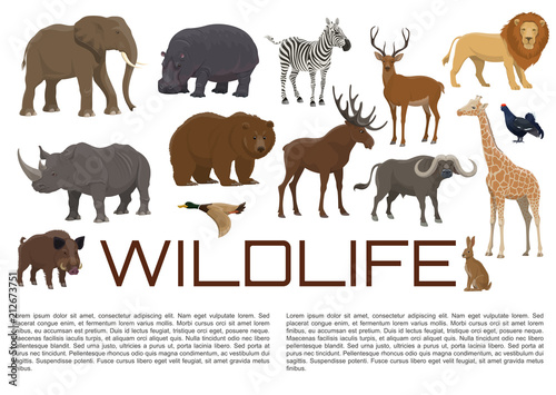 Vector wildlife poster of wild animals