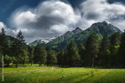 Beautiful nature landscape of mountains with snow and green forest