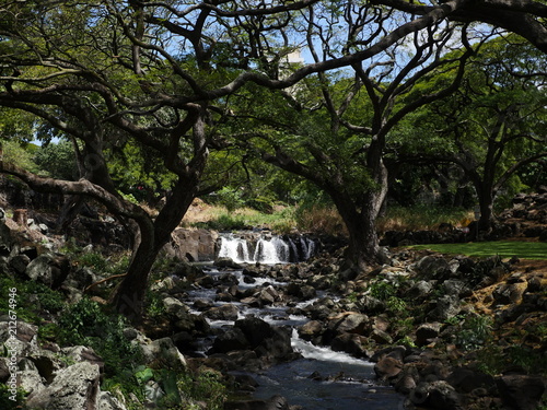 Liliuokalani Botanical Garden waterfall