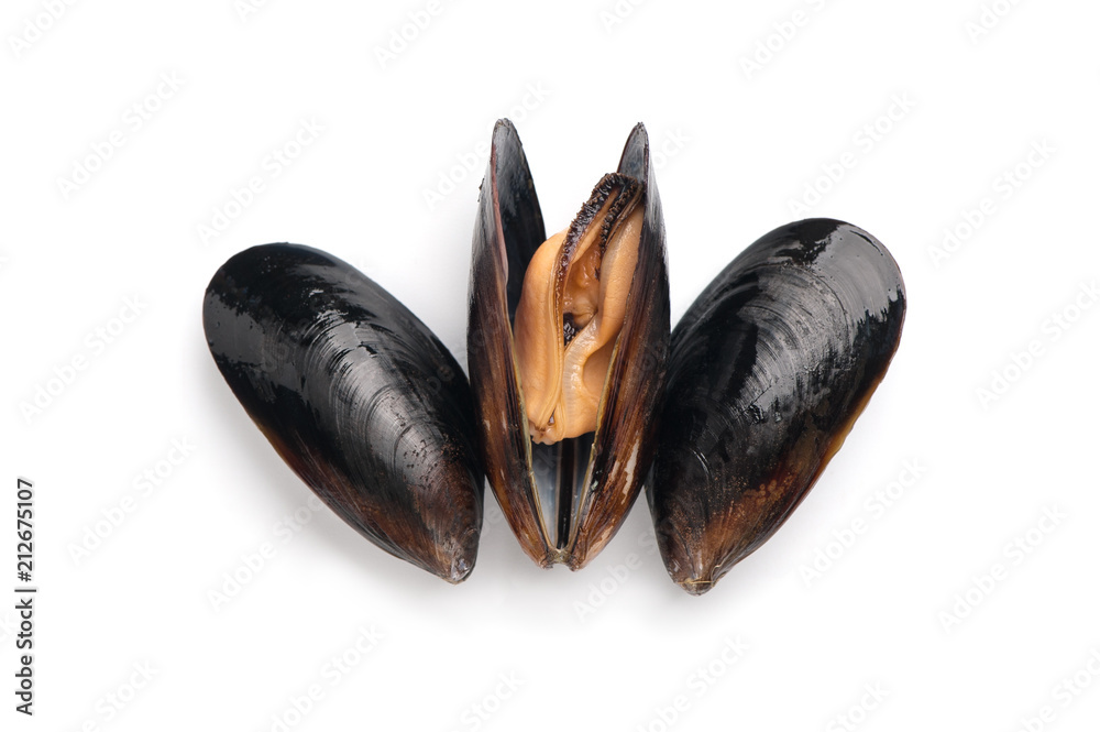 Fresh mussels close-up on a white background. Isolated.. Fresh mussels close-up on a white background. Isolated..