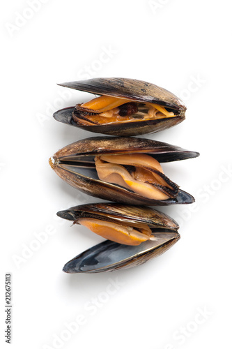 Three fresh mussels close-up on a white background. Isolated..