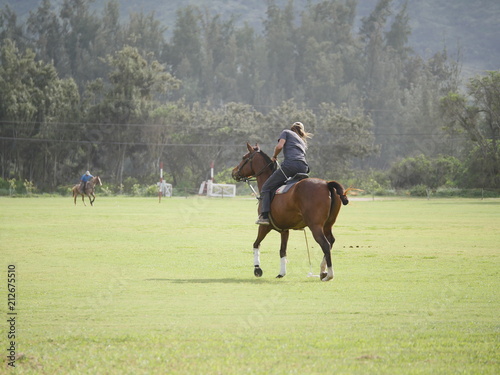polo player on horse playing on green grass field © Anastasia