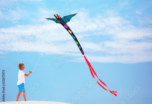 happy kid, boy flying a kite in the summer sky