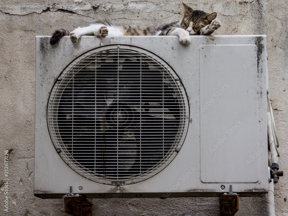 Foto de Stray cat in a street sleeping on the condenser unit of an AC