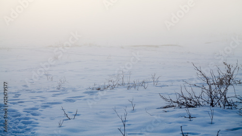 Wallpaper Mural Countryside winter landscape at sunset
 Torontodigital.ca