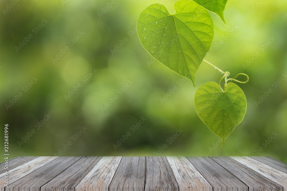 Romantic tree shape with heart shaped leaves, green leaf heart shape. Romantic tree shape with heart shaped leaves, green leaf heart shape.