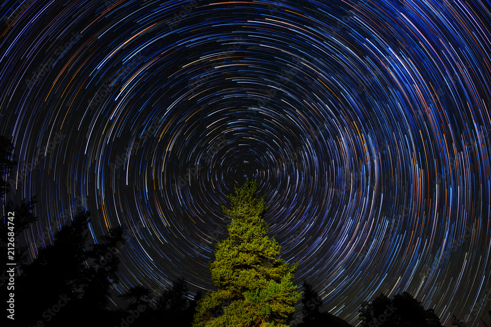 Obraz premium Circular Star Trails Over Pine Tree. Concept Night Sky Astrophotography