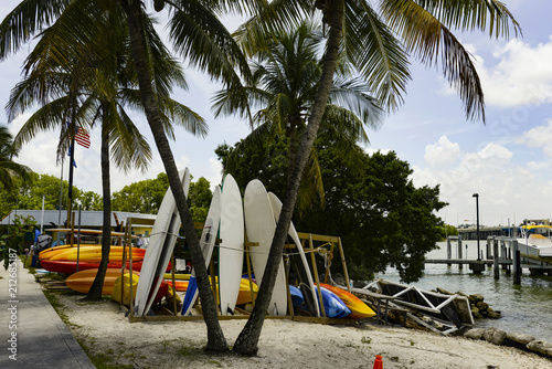 Rack of kayaks and paddle boards next to a dock with palm trees sunny day