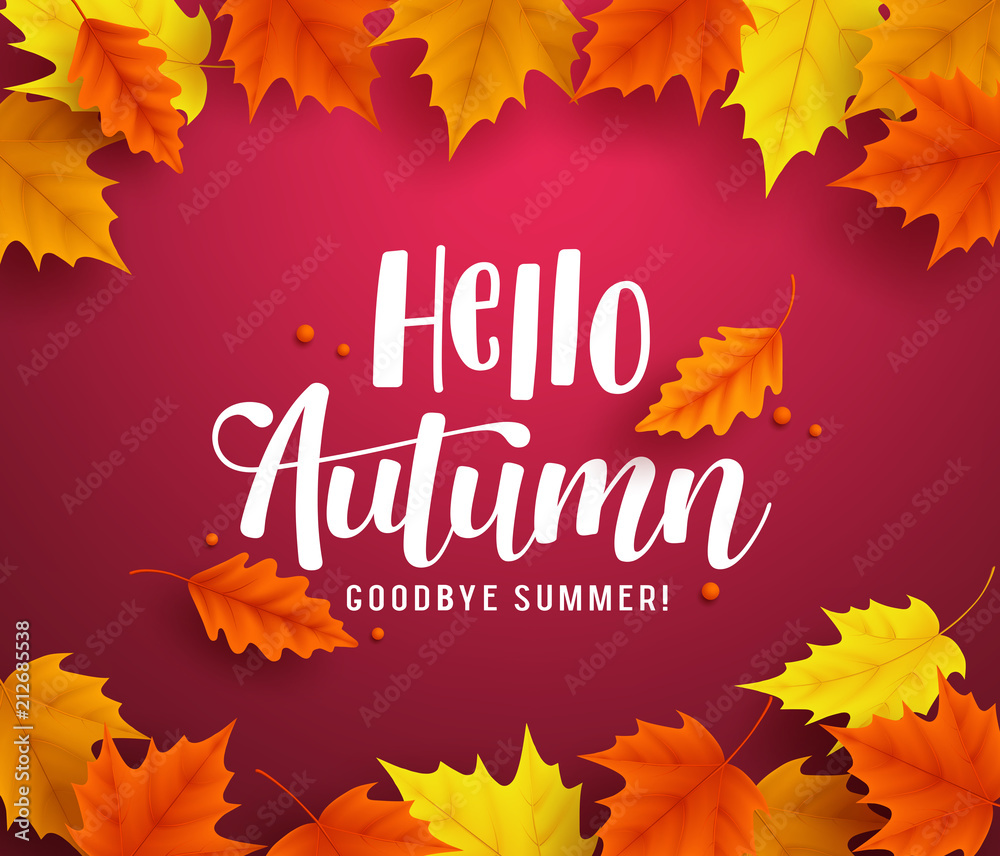 Obraz premium Hello autumn vector background template with autumn typography and maple leaves in red background for fall season greetings design. Vector illustration. 