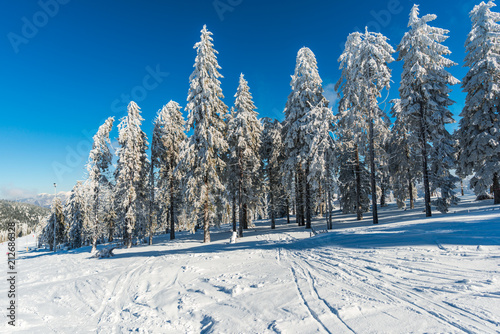 Amazing winter landscape