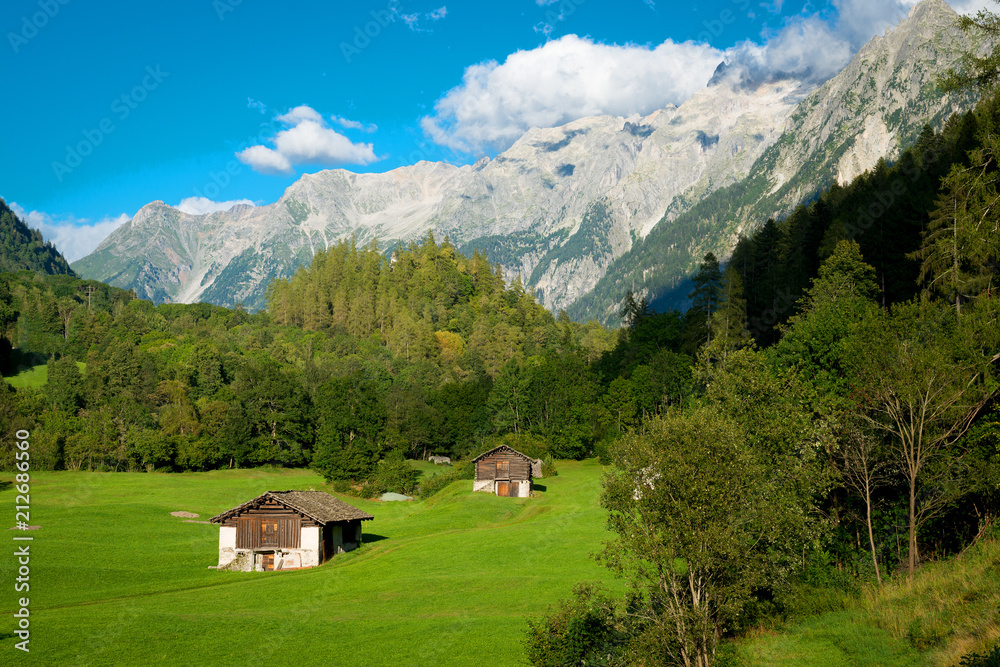 Hillside farm in Swiss Alps