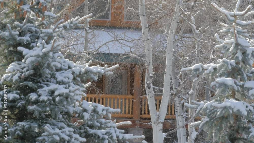 Snowing at the log cabin