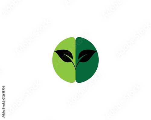 Tree leaf vector logo design, eco-friendly concept.