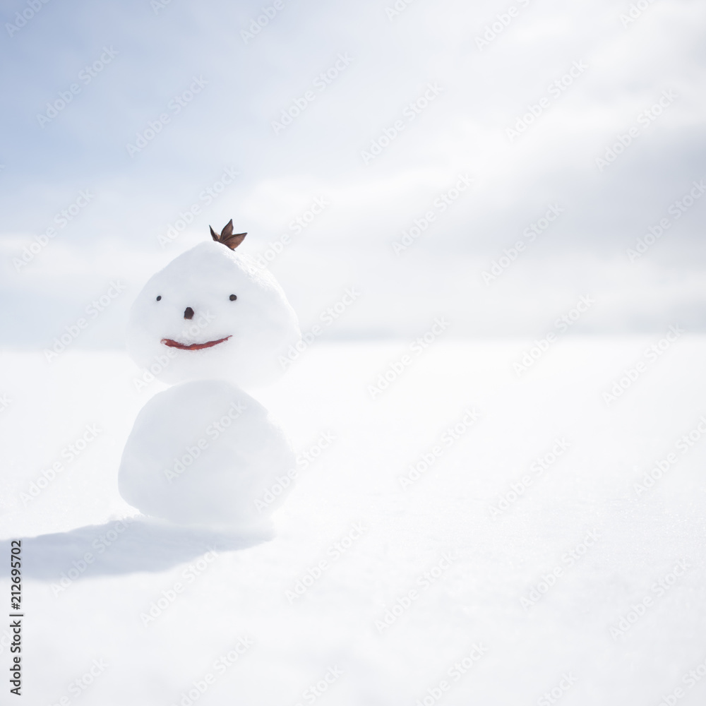 雪原と雪だるま 雪原と雪だるま