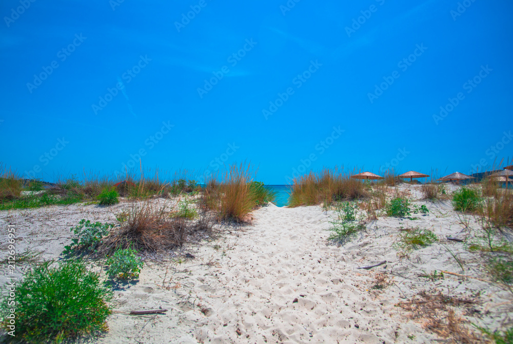 sand dunes with grass and blue sky