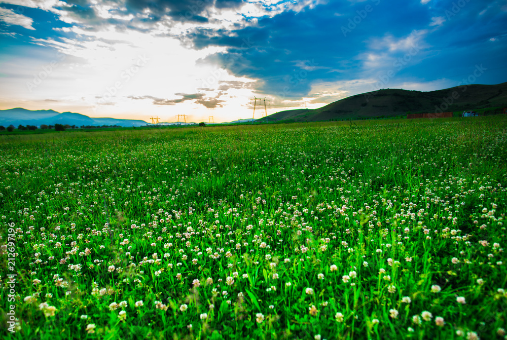 Green field Green field