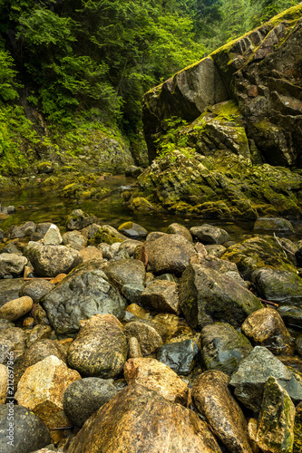 clear water running through beautiful rocky creek with moss covered giant rock on the side
