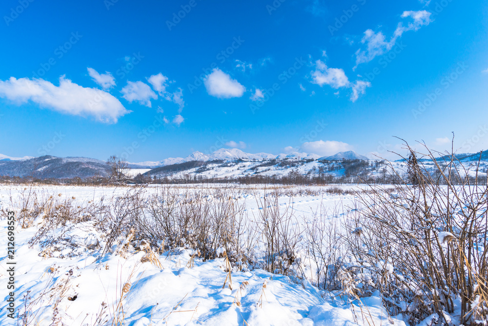 Winter snow Winter snow