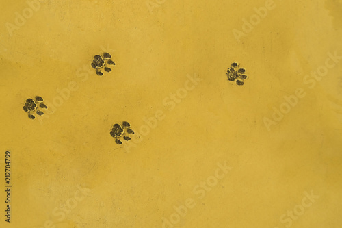 Canvas Print Cat footprint on yellow cement floor