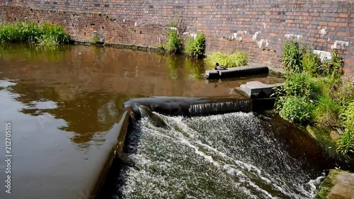 Canal lock feeder pool overflow and sleepy duck photo