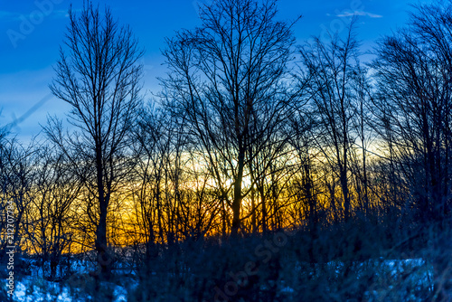 Morning sunrise in tghe winter