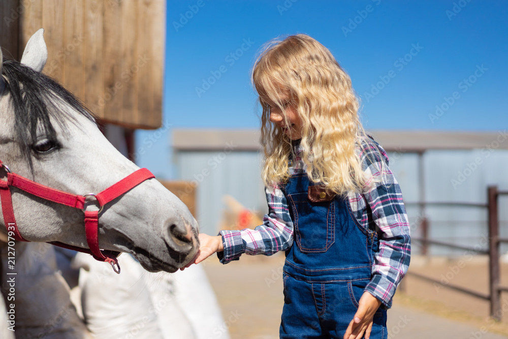 Obraz premium side view of kid feeding white horse at farm