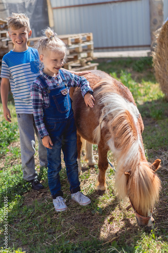 siblings standing near cute pony at farm