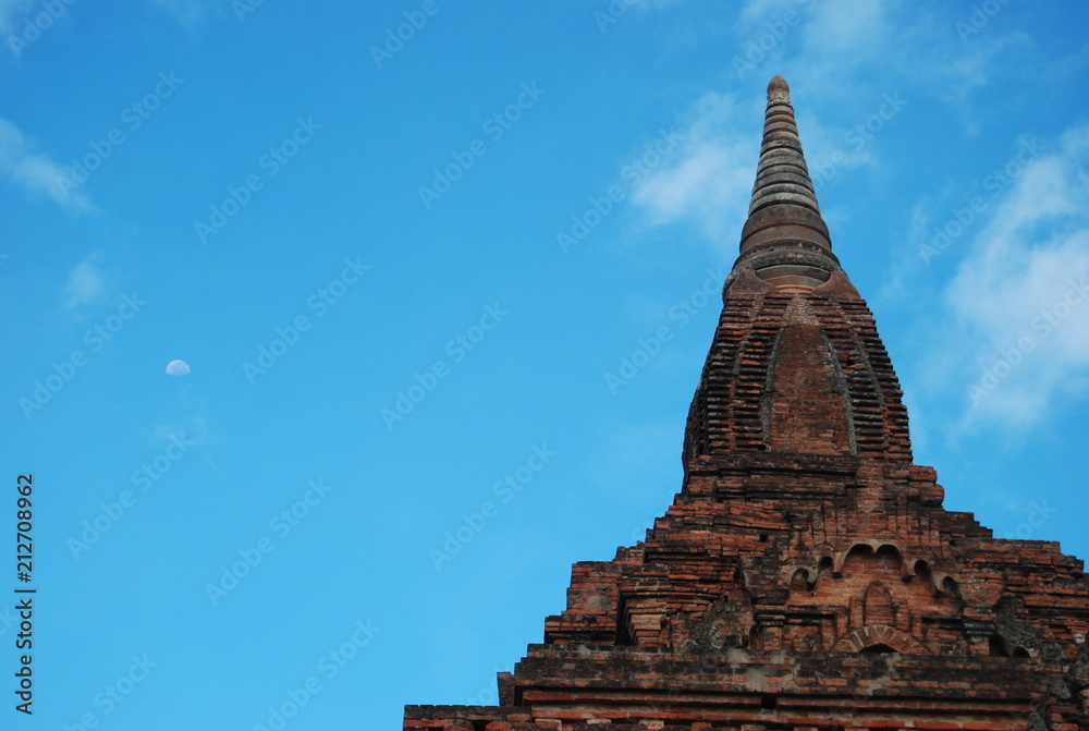 Fototapeta premium moon