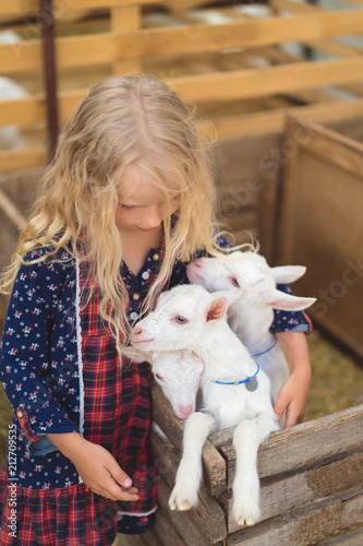 high angle view of kid hugging goats at farm