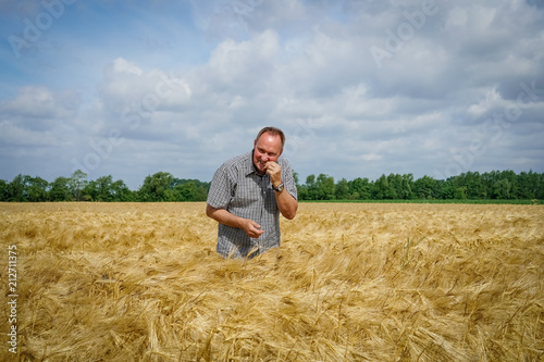 Getreideernte - Landwirt überprüft Reifegrad des Getreidekorns mittels Bisstest