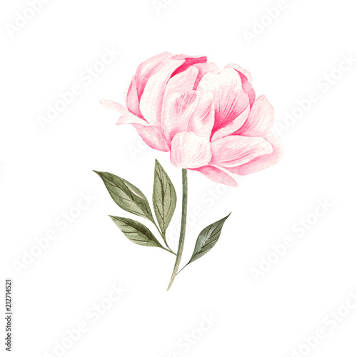 Beautiful Watercolor set with peony.