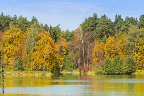 Fototapeta Naklejka Na Ścianę i Meble -  Autumn landscape reflected in the lake
