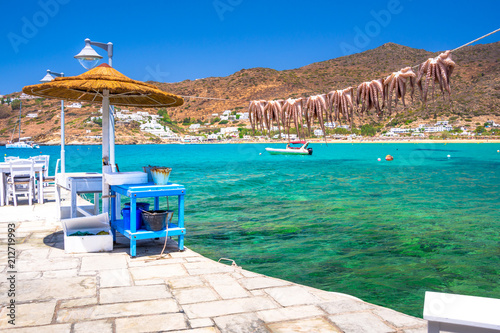 Fototapeta Naklejka Na Ścianę i Meble -  Traditional greek sea food, octopus, drying in the sun, Milopotas, Ios island, Cyclades, Greece