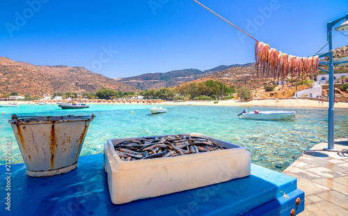 Fototapeta Naklejka Na Ścianę i Meble -  Traditional greek sea food, octopus, drying in the sun, Milopotas, Ios island, Cyclades, Greece