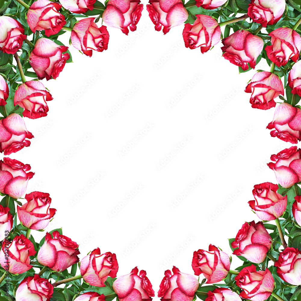 Floral frame with red and white rose flowers